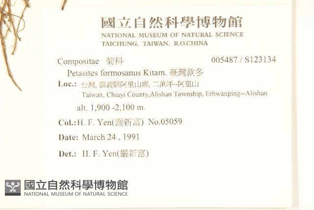 臺灣款冬藏品圖，第2張