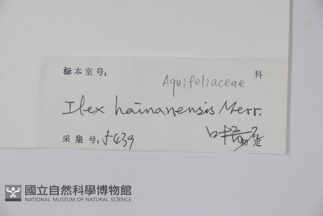 海南冬青藏品圖，第2張