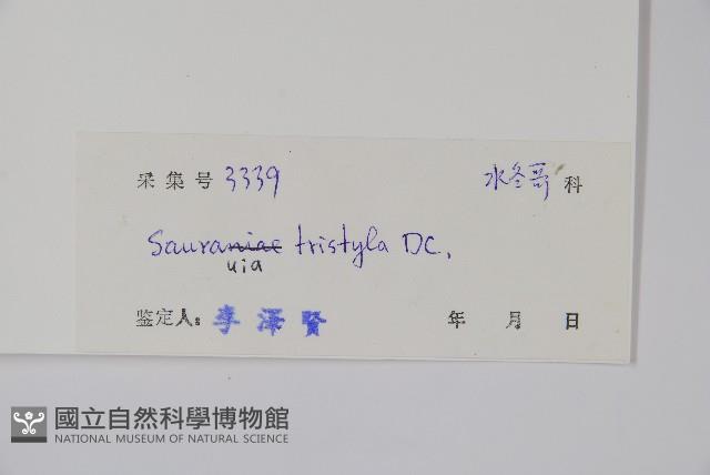 水東哥藏品圖，第2張