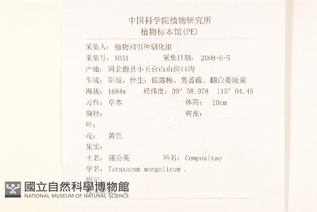 蒲公英藏品圖，第2張