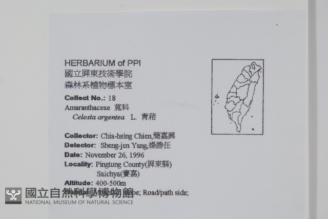 青葙藏品圖，第2張