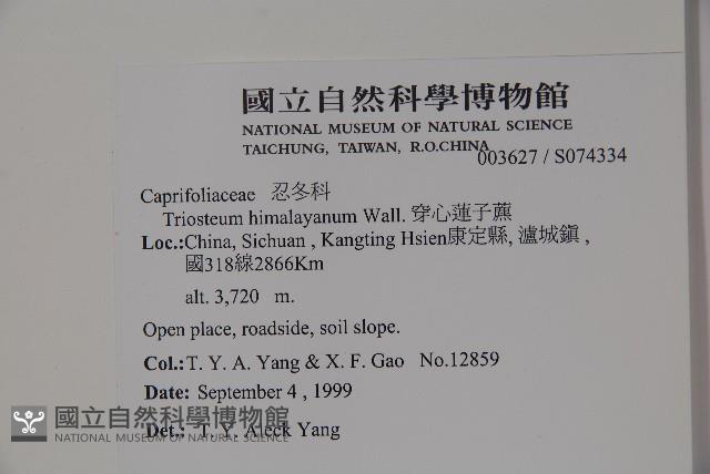 穿心蓮子藨藏品圖，第2張