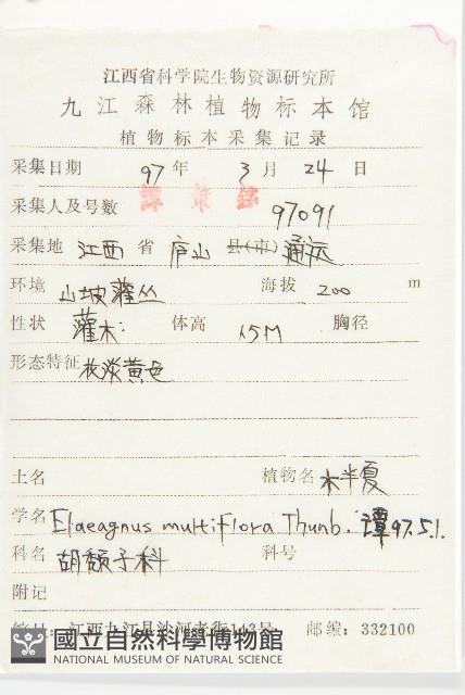 木半夏藏品圖，第2張