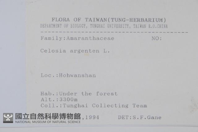 青葙藏品圖，第2張