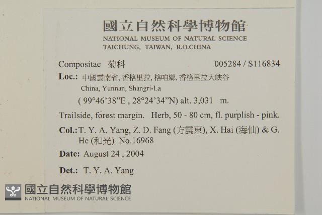 登錄號:S116834藏品圖，第2張