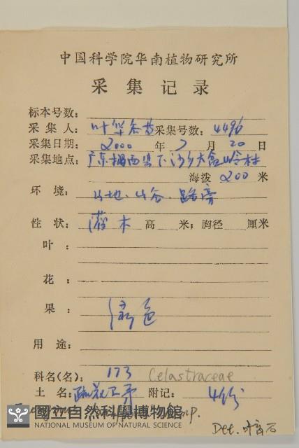 大丁黃藏品圖，第2張