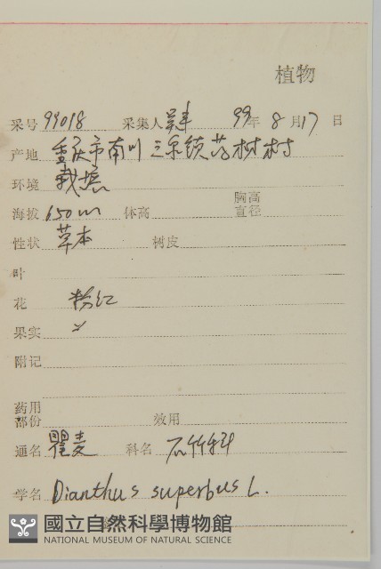 瞿麥藏品圖，第2張