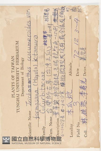 臺灣師古草藏品圖，第2張