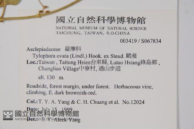 鷗蔓藏品圖，第2張