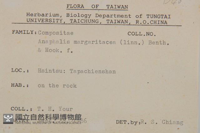 抱莖籟簫藏品圖，第2張