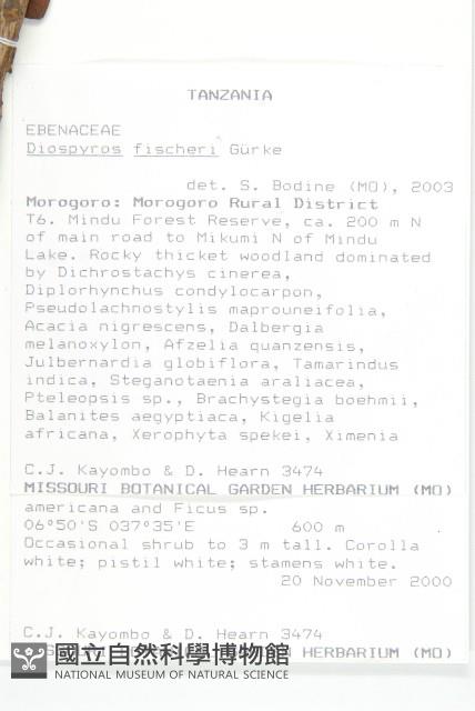 登錄號:S093534藏品圖，第2張