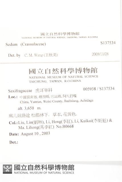 登錄號:S137534藏品圖，第2張