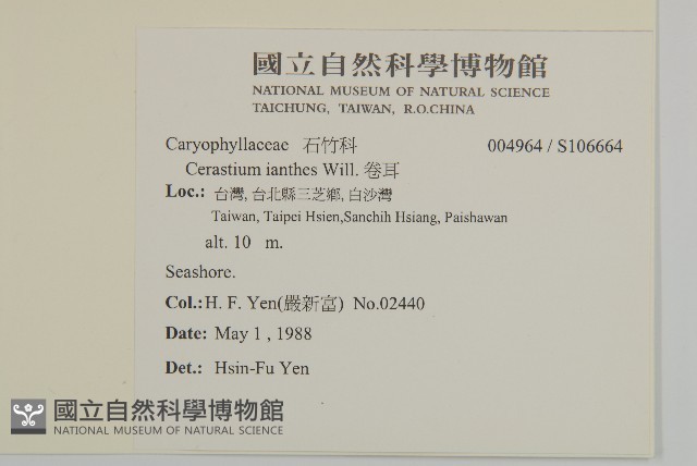 卷耳藏品圖，第2張