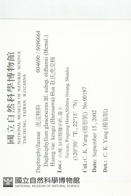 耿氏虎皮楠藏品圖，第2張