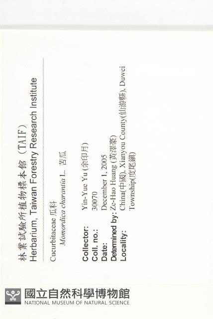 苦瓜藏品圖，第2張