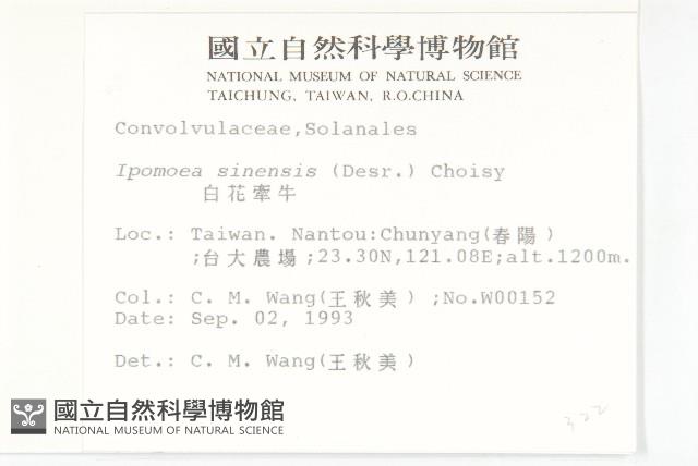 白花牽牛藏品圖，第2張