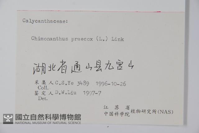 臘梅藏品圖，第2張