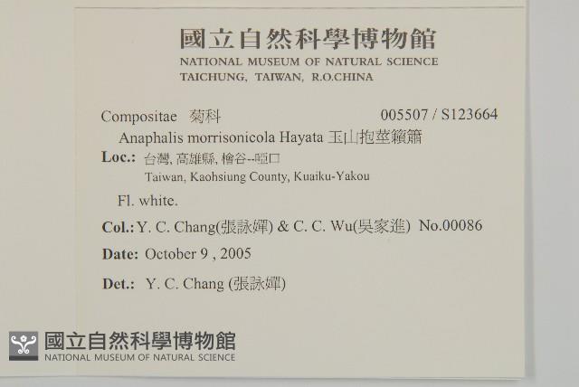 玉山抱莖籟簫藏品圖，第2張