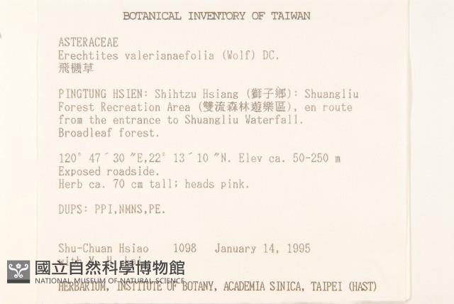 飛機草藏品圖，第2張