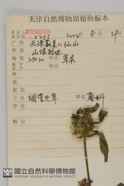 杓兒菜藏品圖，第2張