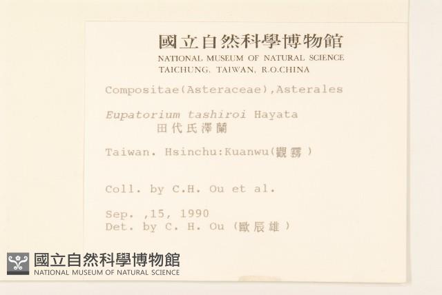 田代氏澤蘭藏品圖，第2張