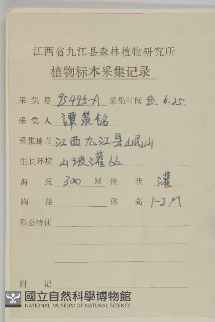 珍珠蒿、奇蒿藏品圖，第2張