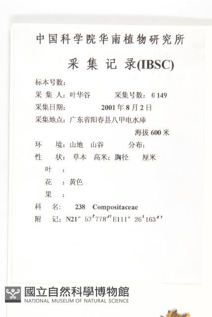 蟛蜞菊藏品圖，第2張