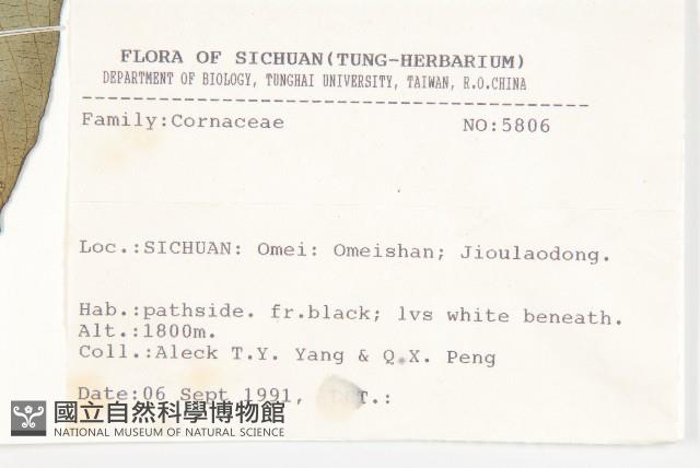 登錄號:S025764藏品圖，第2張