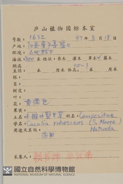 紫花堇菜藏品圖，第2張