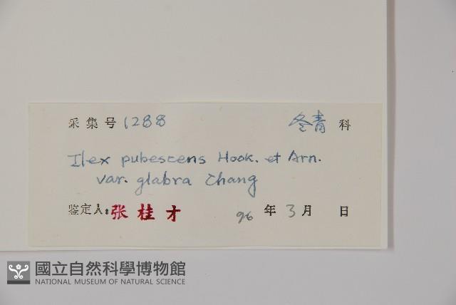 登錄號:S044764藏品圖，第2張