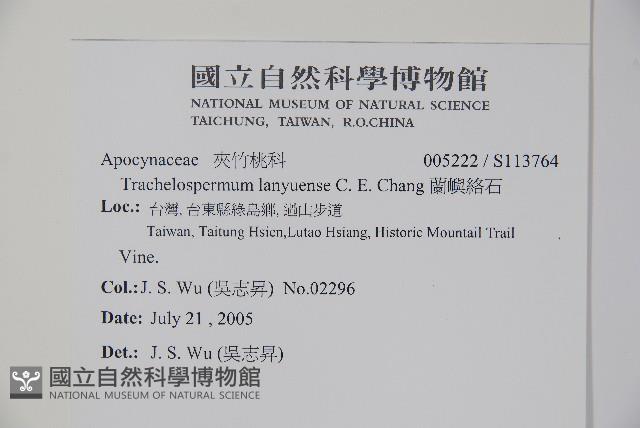 蘭嶼絡石藏品圖，第2張