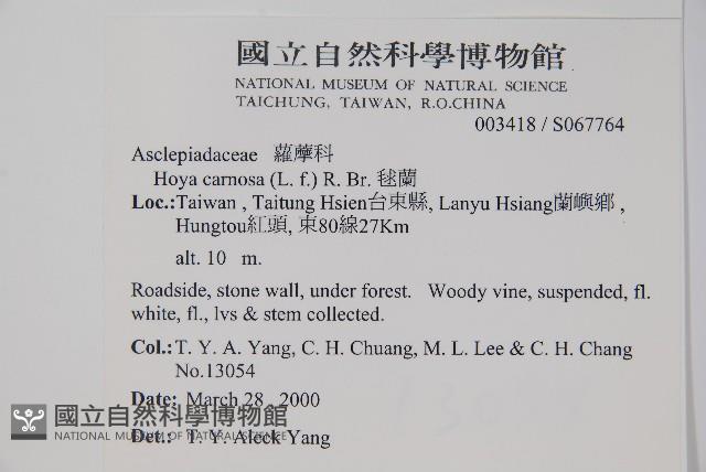 毬蘭藏品圖，第2張