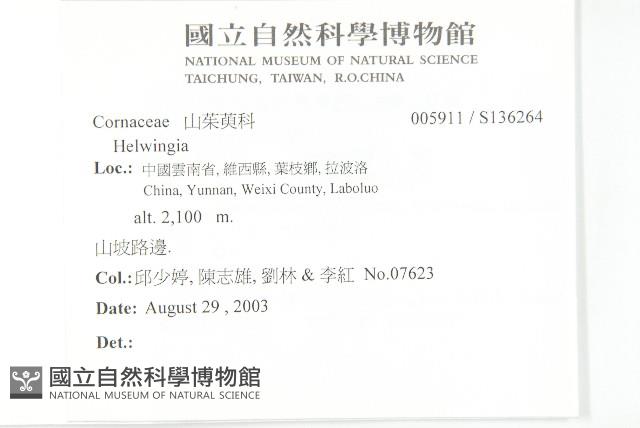 登錄號:S136264藏品圖，第2張