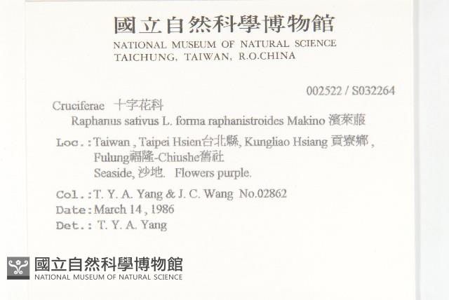 濱萊菔藏品圖，第2張