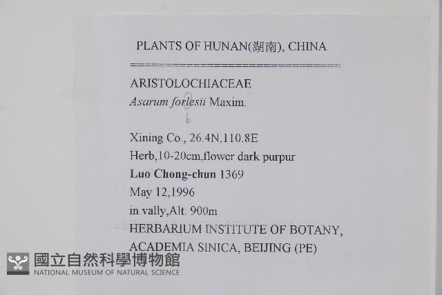 杜衡藏品圖，第2張