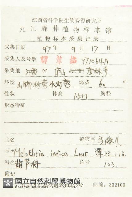 老鼠冬瓜藏品圖，第2張