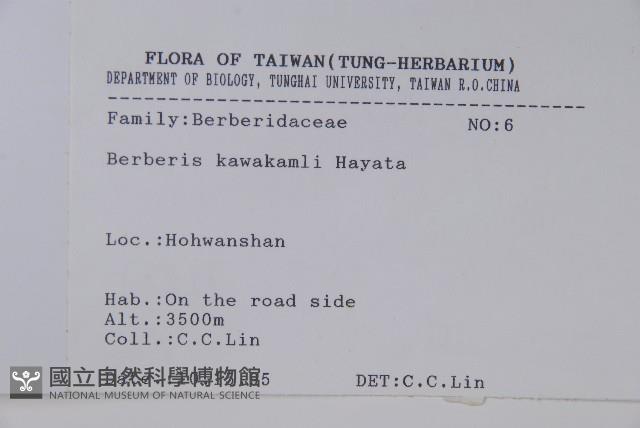 臺灣小蘗藏品圖，第2張