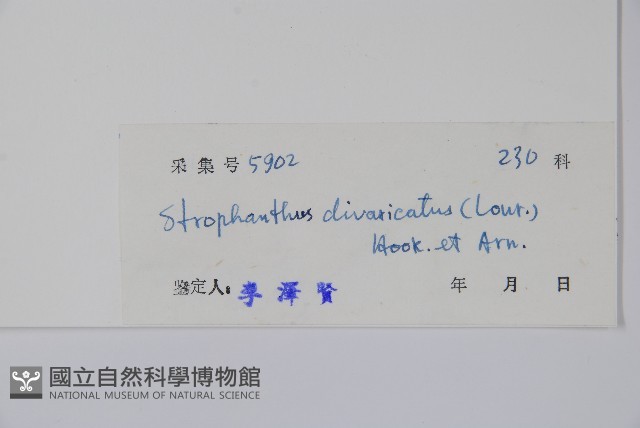 羊角扭藏品圖，第2張