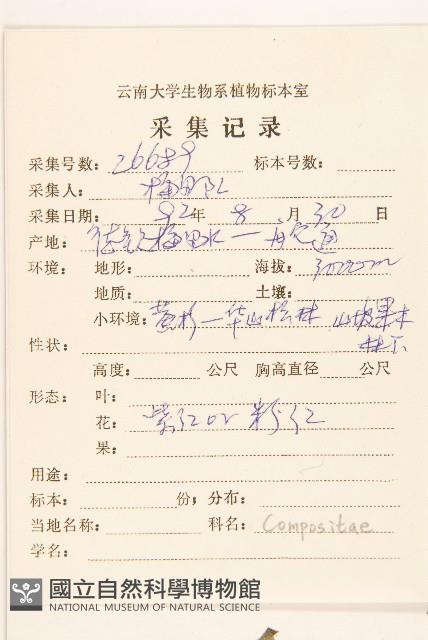 齒緣苦實藏品圖，第2張