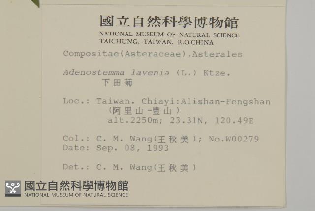 下田菊藏品圖，第2張