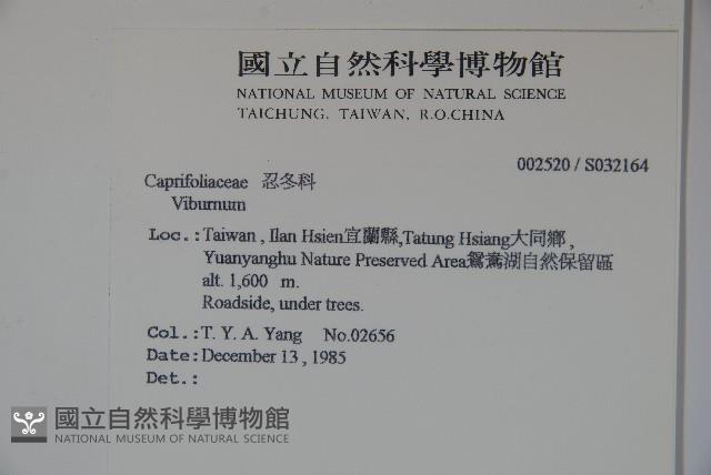 登錄號:S032164藏品圖，第2張