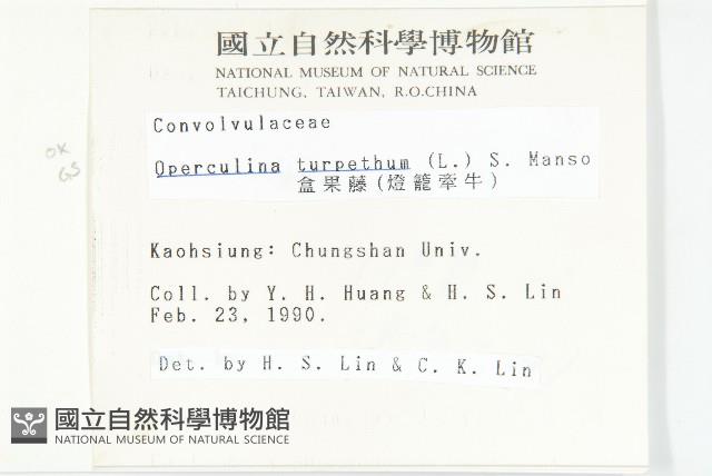 盒果藤藏品圖，第2張