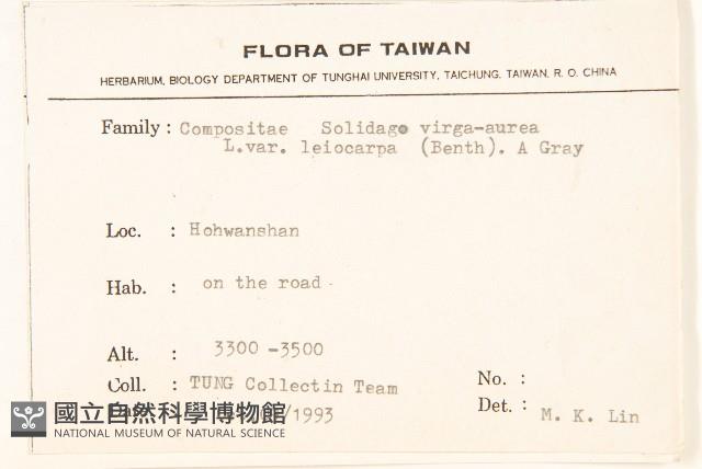 一枝黃花藏品圖，第2張