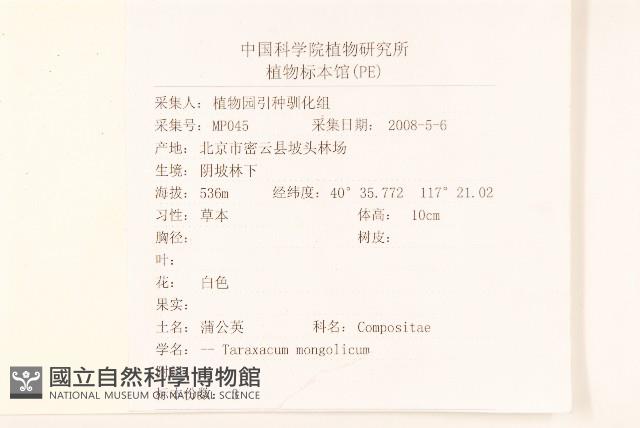 蒲公英藏品圖，第2張