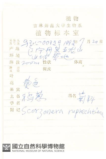 鴉蔥藏品圖，第2張