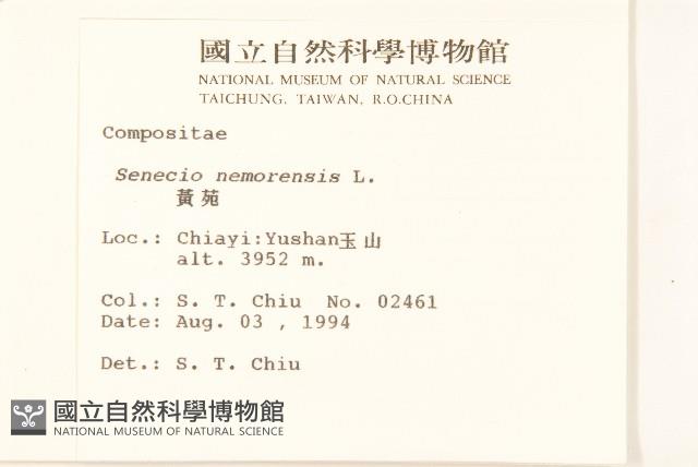 黃菀藏品圖，第2張