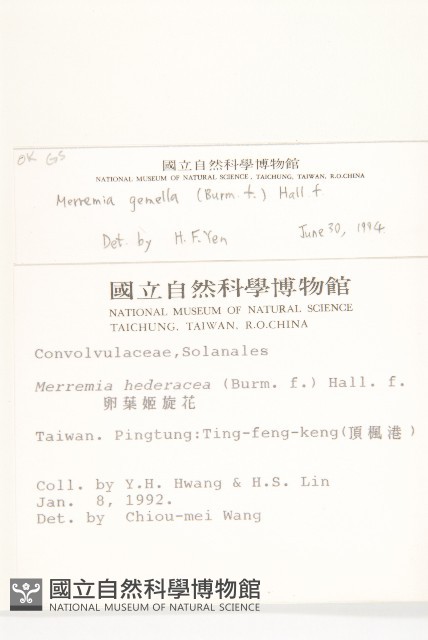 菜欒藤藏品圖，第2張