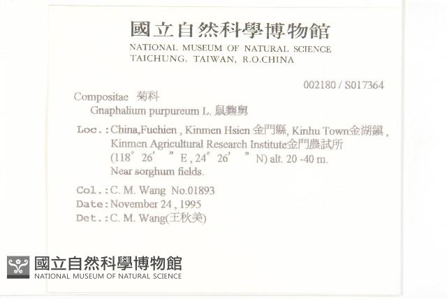 鼠麴舅藏品圖，第2張