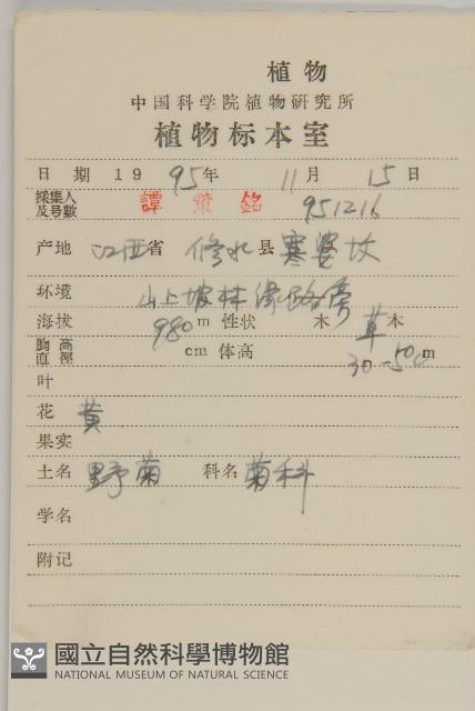 油菊、野菊藏品圖，第2張