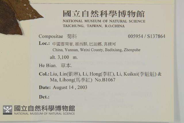 登錄號:S137864藏品圖，第2張